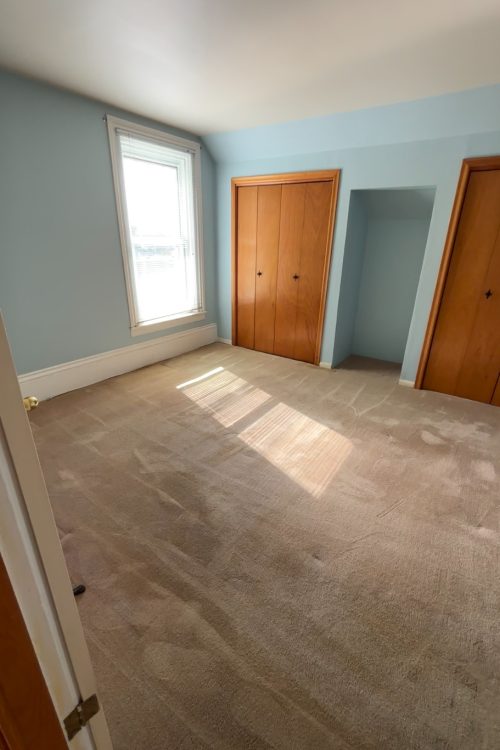 Close-up of deep carpet cleaning process with equipment