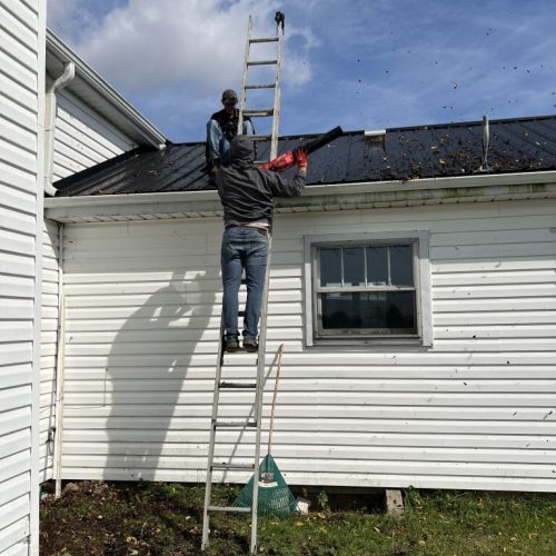 Close-up of gutter cleaning process with debris removal