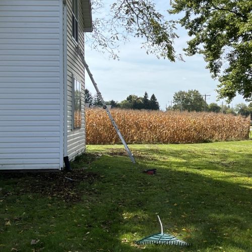 Person cleaning windows on the side of a house with cleaning tools